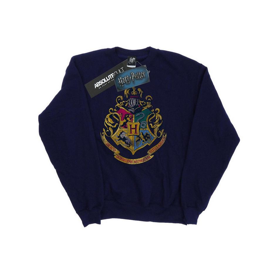 Harry Potter Hogwarts Blason Slim Fit Sweatshirt  