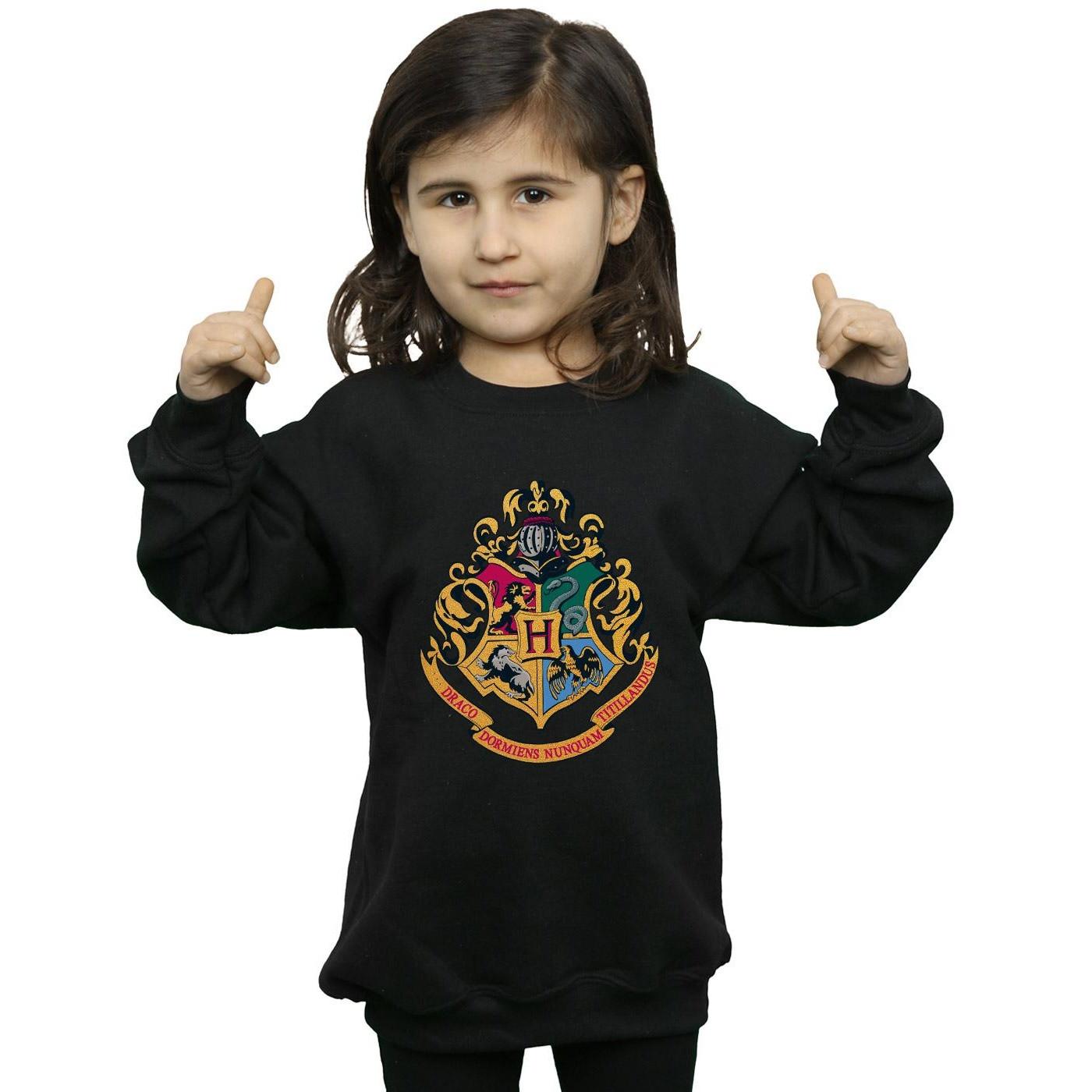 Harry Potter  Hogwarts Sweatshirt 