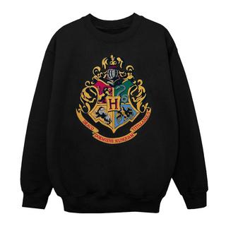 Harry Potter  Hogwarts Sweatshirt 