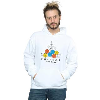 Friends The TV Series Fountain Kapuzenpullover  