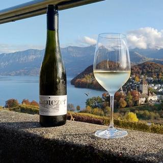 Geschenkidee  Croisière sur le lac de Thoune avec visite du château de Spiez & vin (pour 1 personne) 