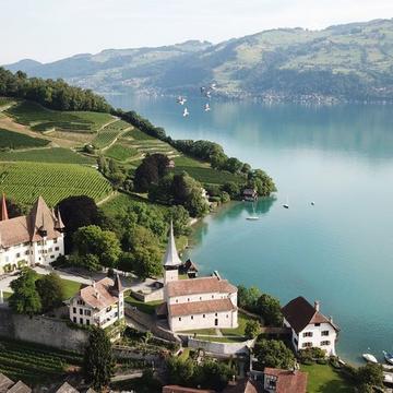 Croisière sur le lac de Thoune avec visite du château de Spiez & vin (pour 1 personne)