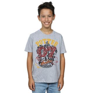 Harry Potter  Gryffindor Seeker TShirt 