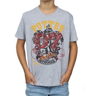 Harry Potter  Gryffindor Seeker TShirt 