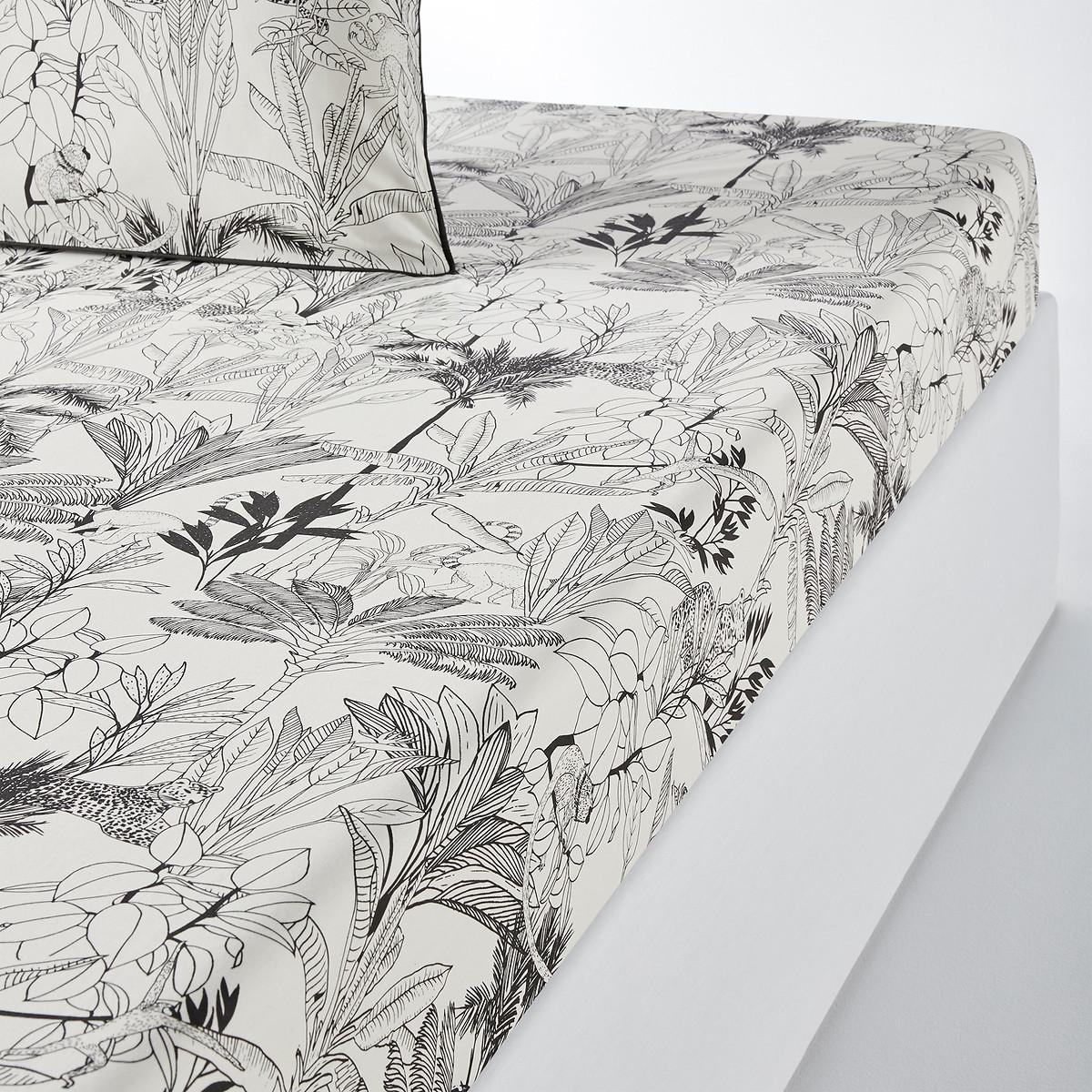 La Redoute Intérieurs Palmeira Baumwoll Perkal Fixleintuch  