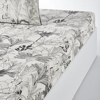 La Redoute Intérieurs Palmeira Baumwoll Perkal Fixleintuch  