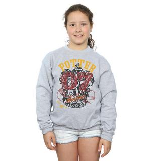 Harry Potter  Gryffindor Seeker Sweatshirt 