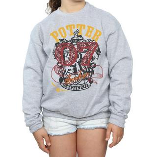 Harry Potter  Gryffindor Seeker Sweatshirt 
