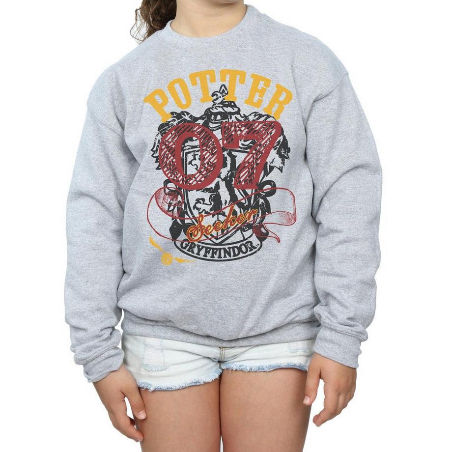 Harry Potter  Gryffindor Seeker Sweatshirt 