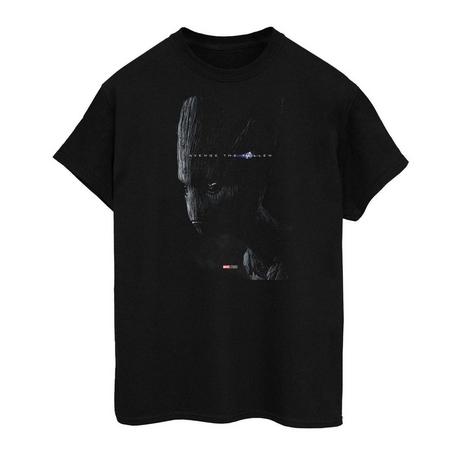 Avengers Endgame Avenge The Fallen T-Shirt  