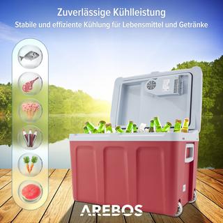 Arebos  Kühlbox 40L Auto Thermoelektrische Warmhaltebox 12V 230V Kühlschrank 