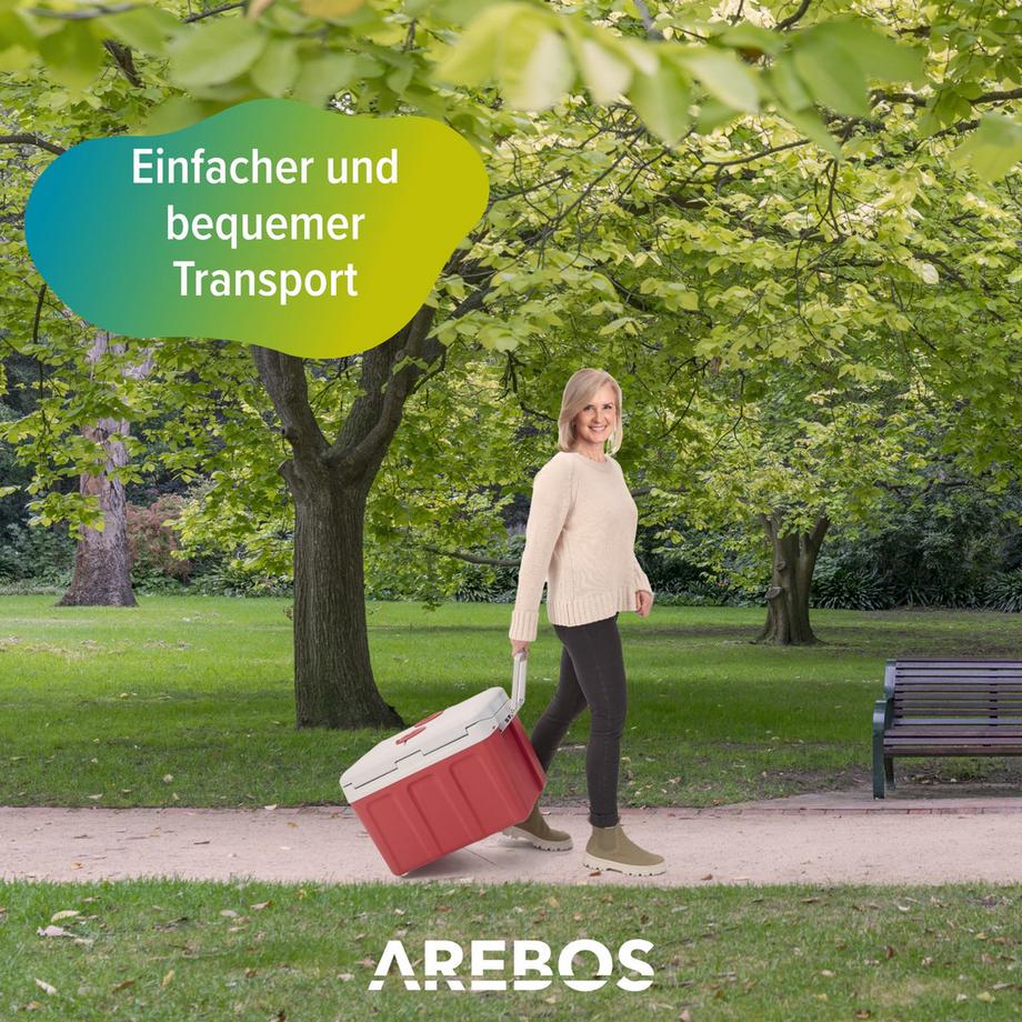 Arebos  Kühlbox 40L Auto Thermoelektrische Warmhaltebox 12V 230V Kühlschrank 