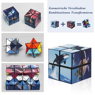 Activity-board  Cubes de transformation Cubes magiques pour enfants et adultes 