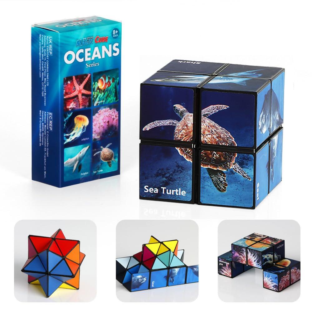 Activity-board  Cubes de transformation Cubes magiques pour enfants et adultes 