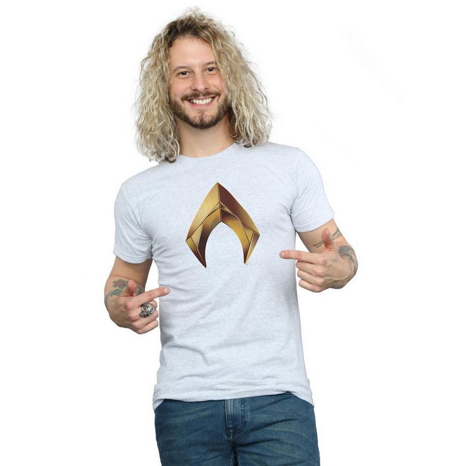 DC COMICS Aquaman Logo T-Shirt Maniche Corte  