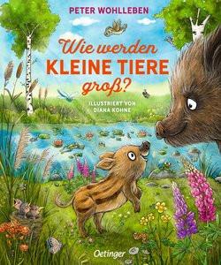 Wie werden kleine Tiere groß? Wohlleben, Peter; Kohne, Diana (Illustrationen) Gebundene Ausgabe 