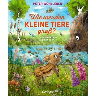 Wie werden kleine Tiere groß? Wohlleben, Peter; Kohne, Diana (Illustrationen) Gebundene Ausgabe 