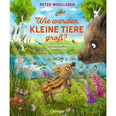 Wie werden kleine Tiere groß? Wohlleben, Peter; Kohne, Diana (Illustrationen) Couverture rigide 