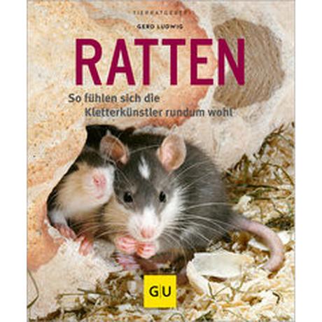 Ratten Ludwig, Gerd Gebundene Ausgabe 