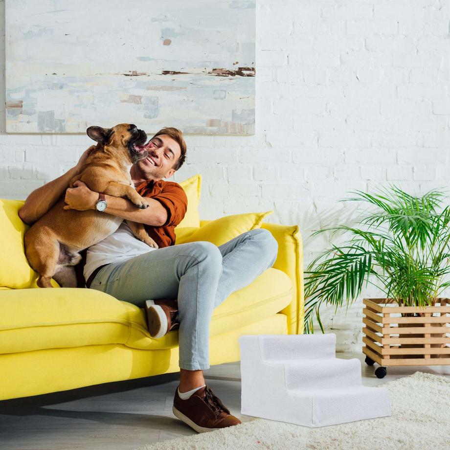 B2X  Escaliers pour chiens 