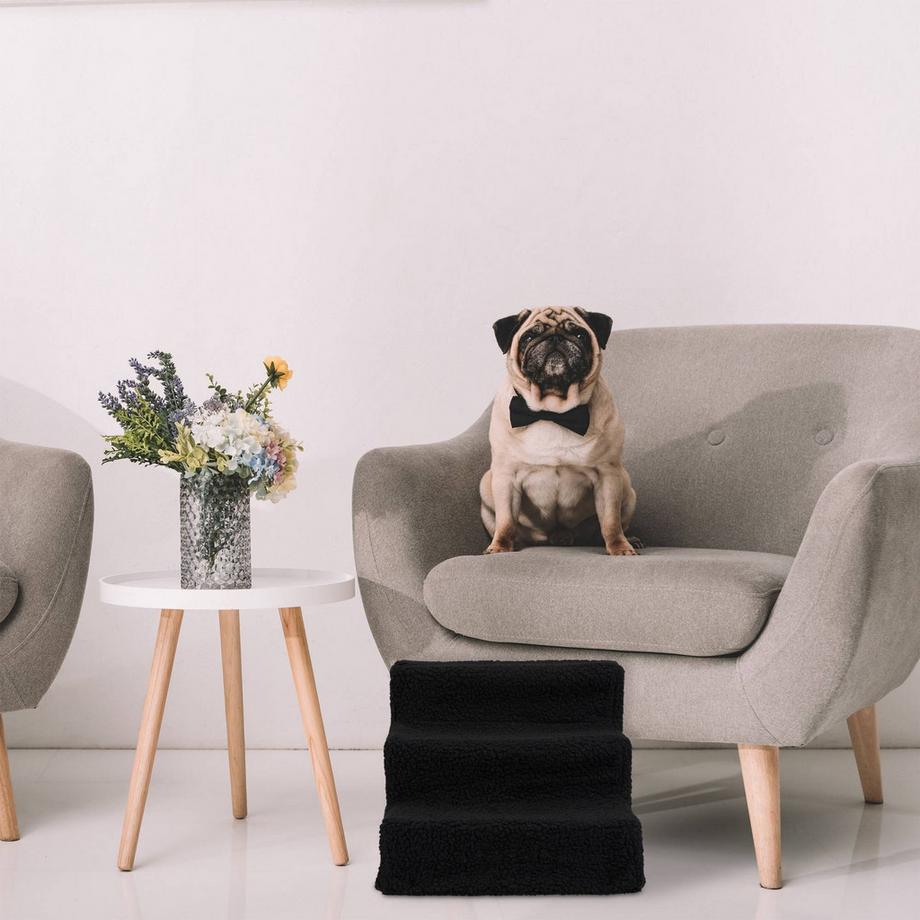 B2X  Escaliers pour chiens 