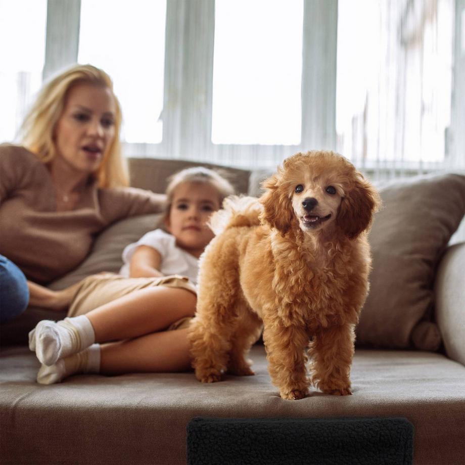 B2X  Escaliers pour chiens 