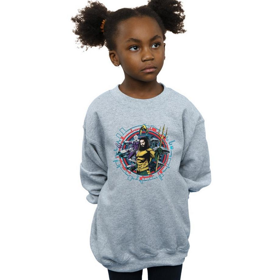 DC COMICS  Sweatshirt 