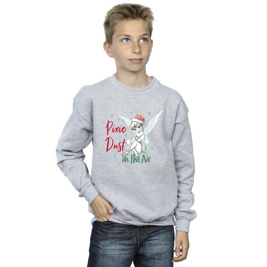 Disney  Pixie Dust Sweatshirt 
