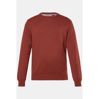 JP1880 Pull en coton à col rond  