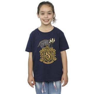 Harry Potter  Hufflepuff TShirt 