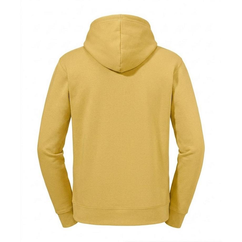Russell Sweat À Capuche Authentic  