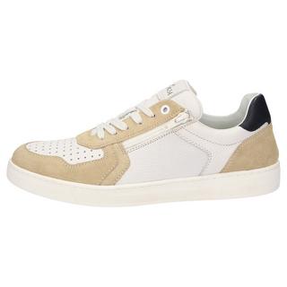 Sioux  Sneaker Tertulio-700-H 