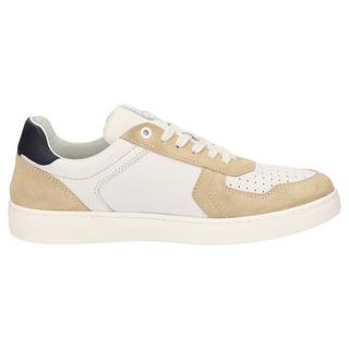 Sioux  Sneaker Tertulio-700-H 
