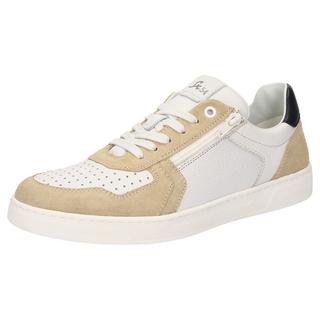 Sioux  Sneaker Tertulio-700-H 