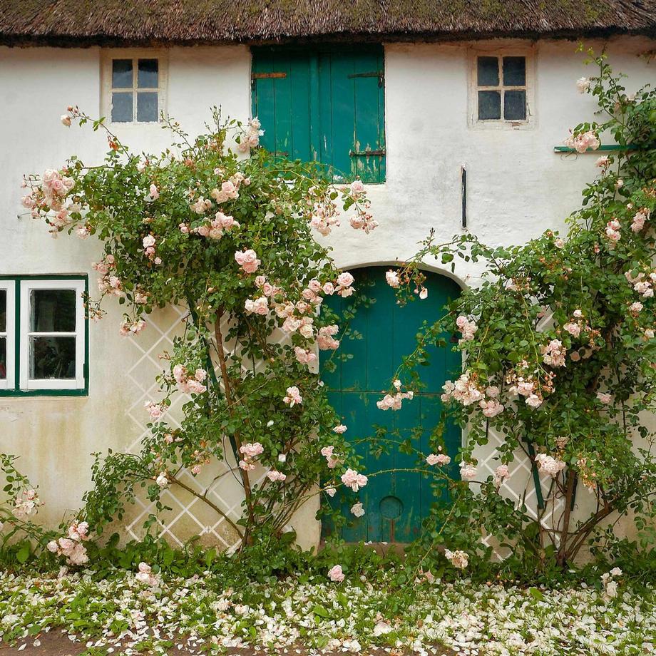 B2X  Treillis rétractable en bois, lot de 3 