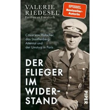 Der Flieger im Widerstand