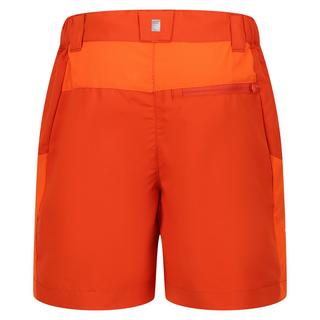 Regatta  Sorcer Mountain III Shorts 