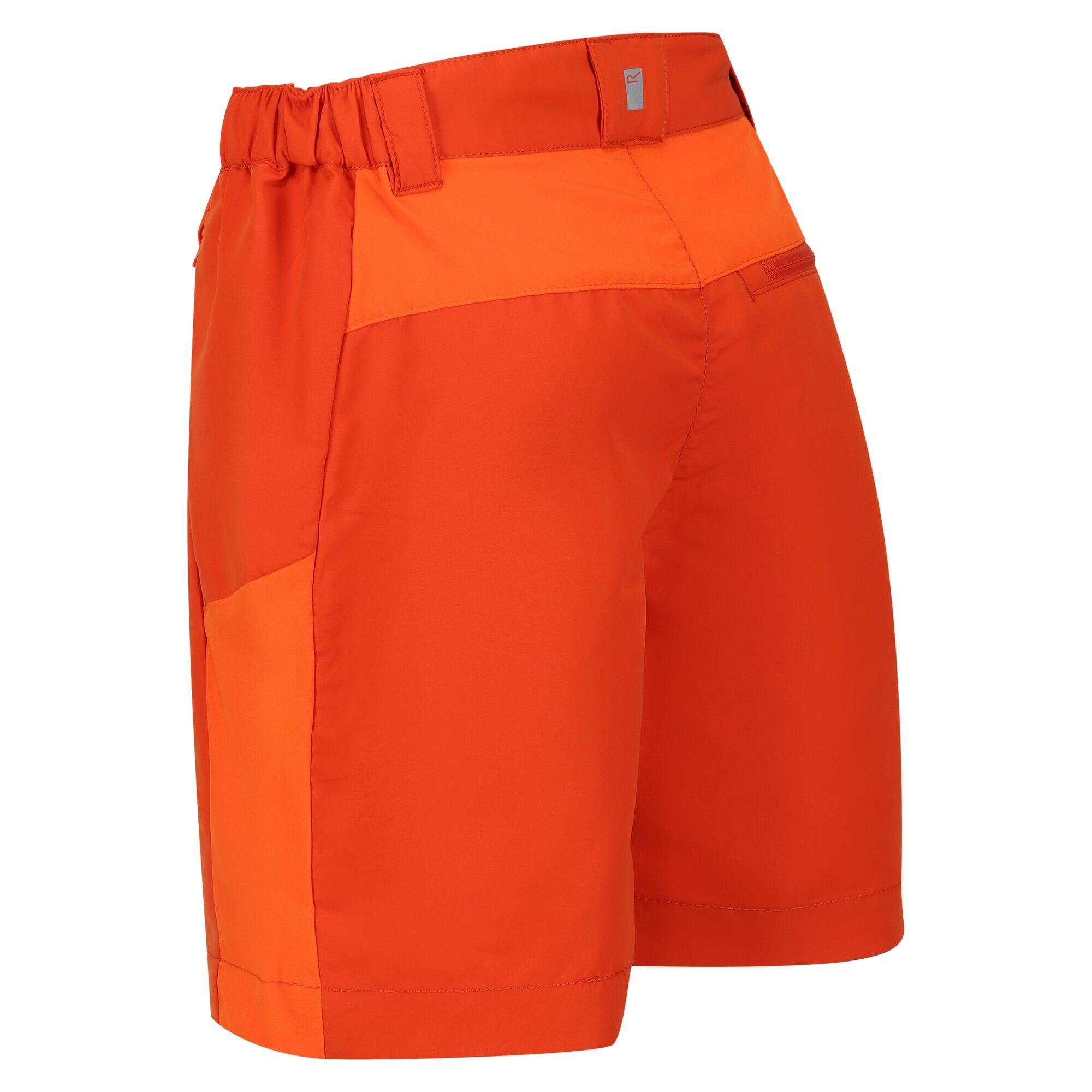 Regatta  Sorcer Mountain III Shorts 