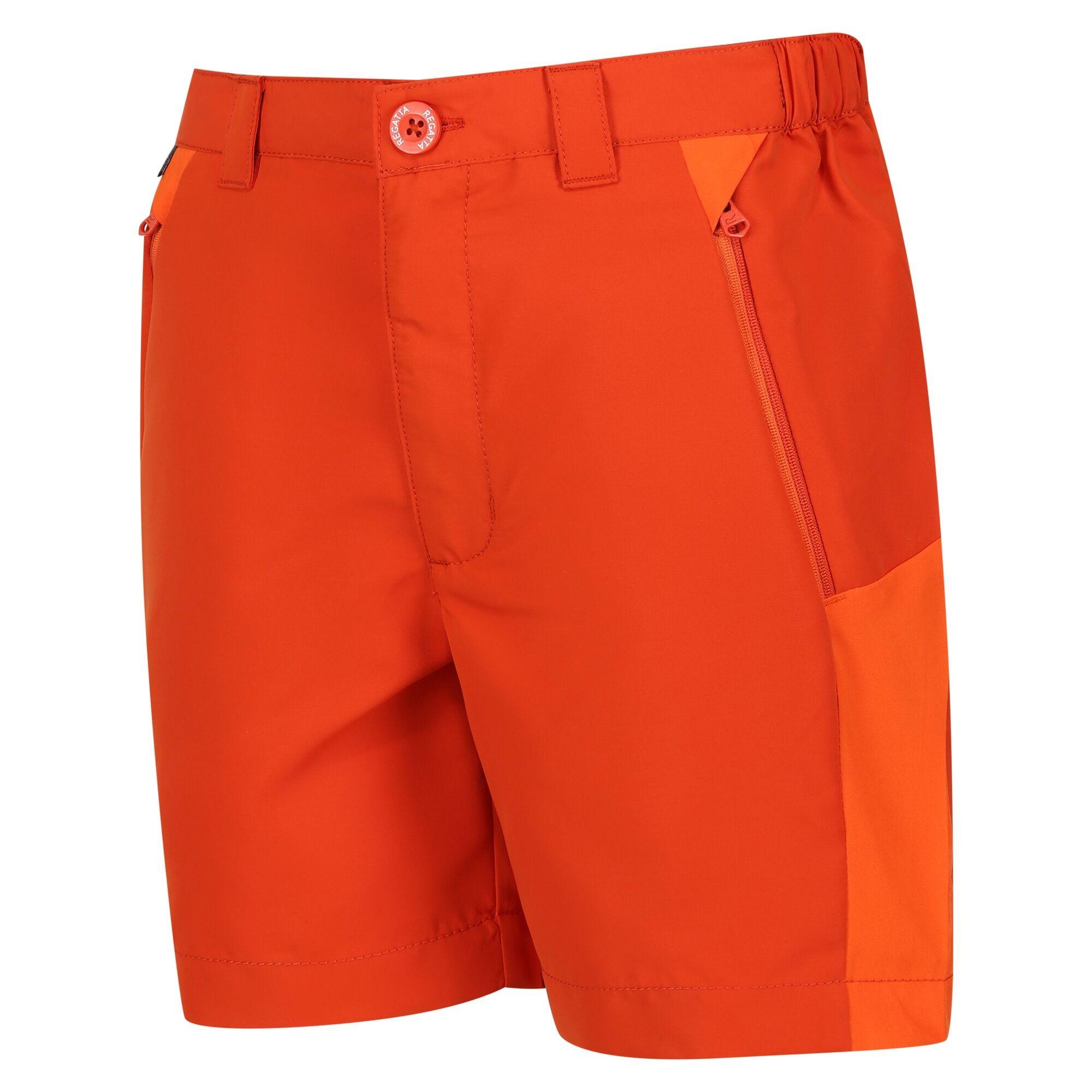 Regatta  Sorcer Mountain III Shorts 