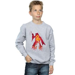 Harry Potter  Sweatshirt 