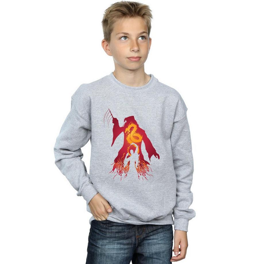 HARRY-POTTER  Sweatshirt 