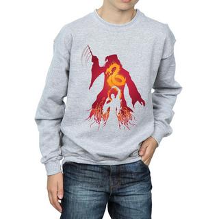 Harry Potter  Sweatshirt 