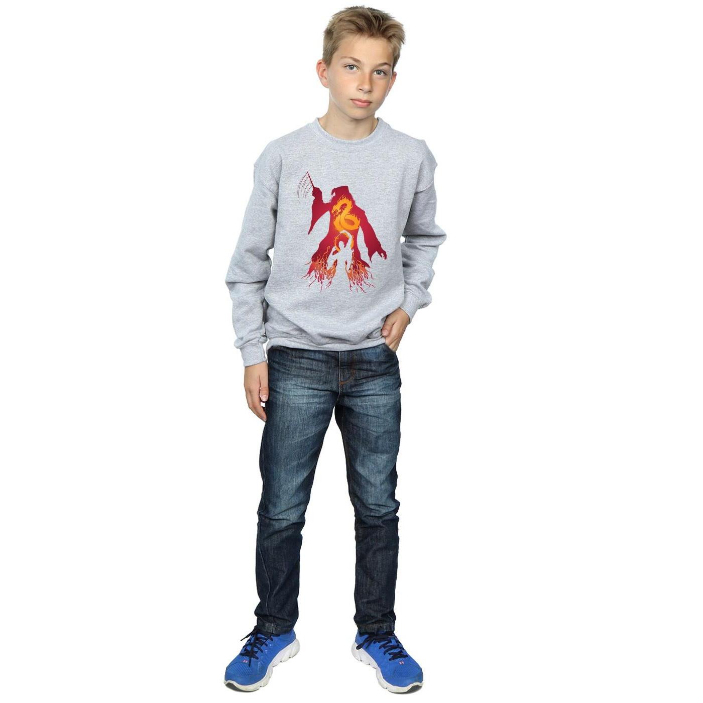 Harry Potter  Sweatshirt 