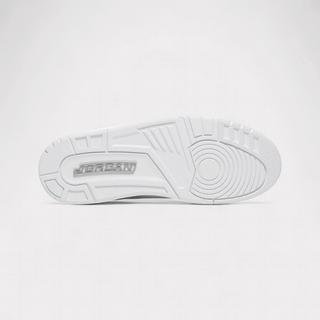 NIKE  Air Jordan 3 Retro - Pure Money 