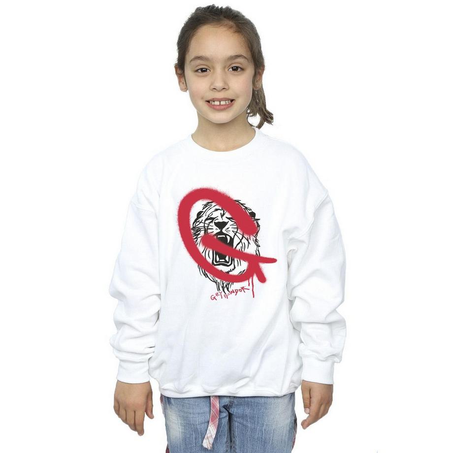 Harry Potter  Gryffindor Sweatshirt 