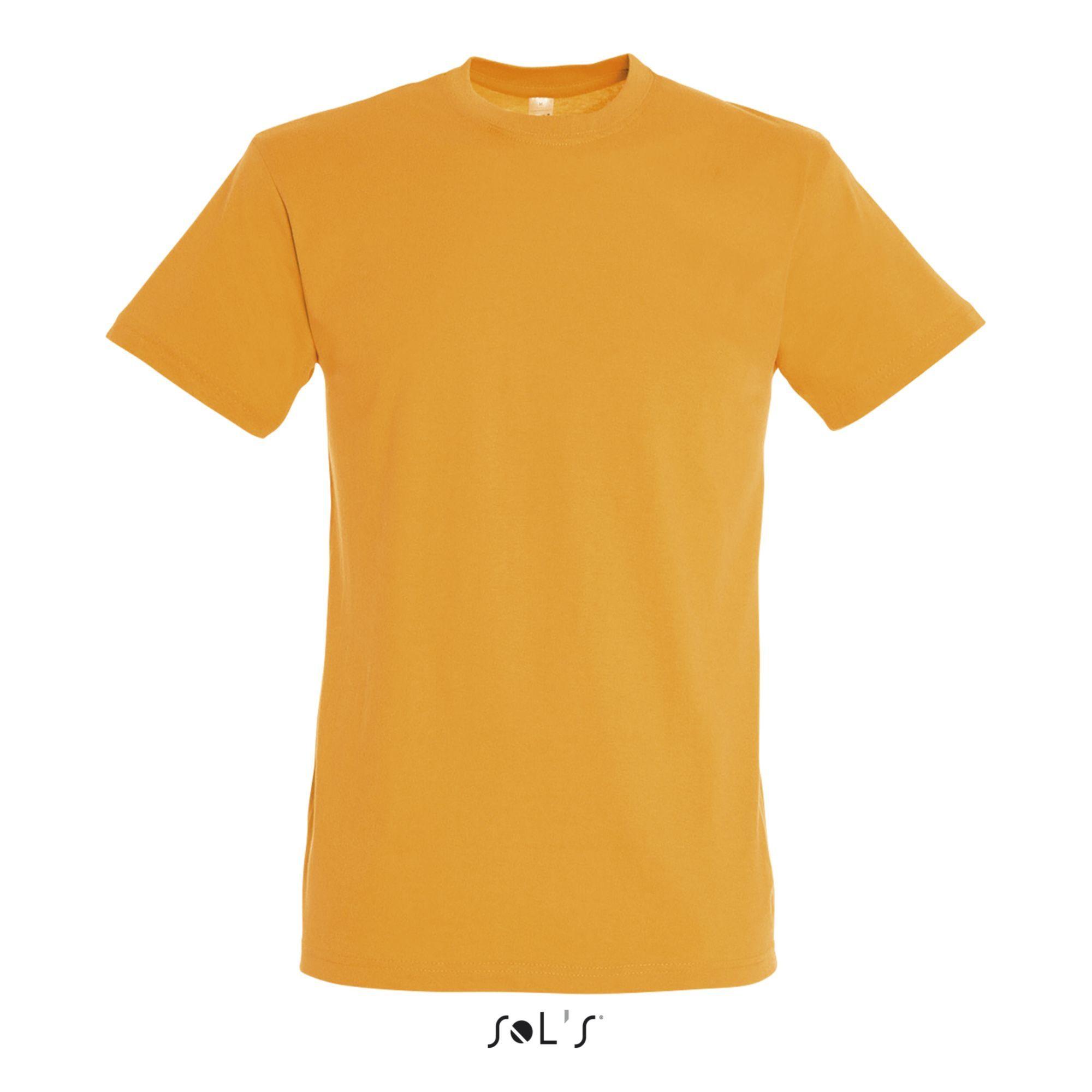 SOLS Regent T-Shirt Maniche Corte  