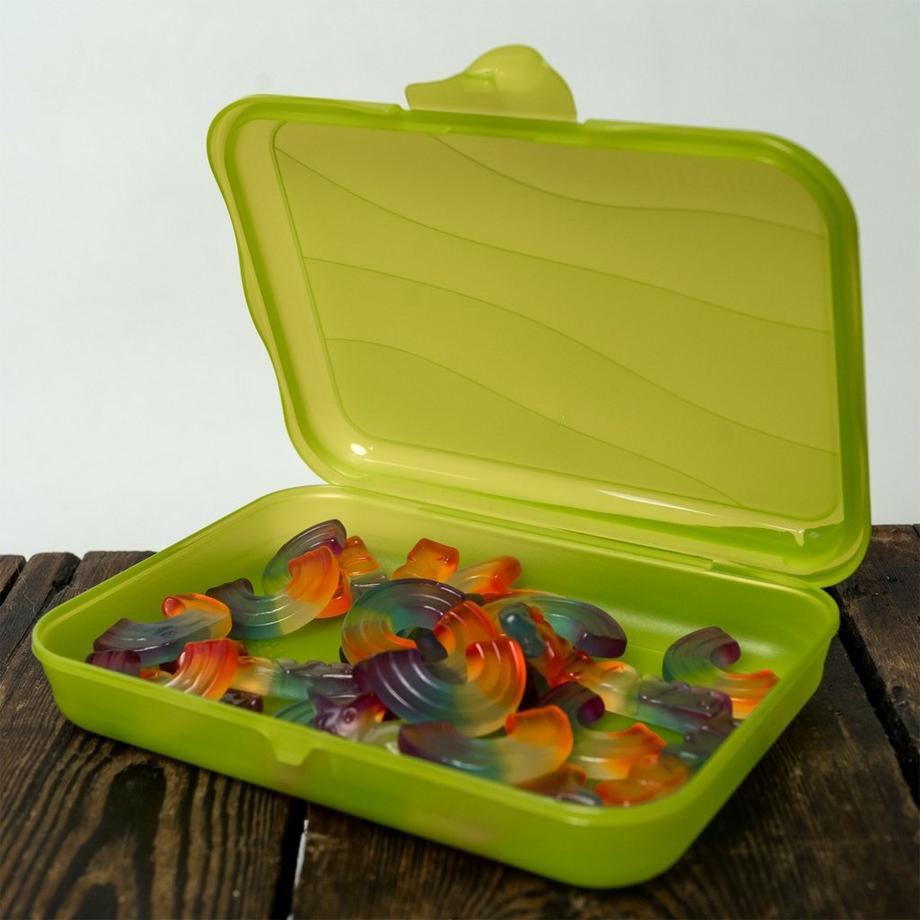 rotho  Rotho Funbox Brotdose 0,75 l Grün 1 Stück(e) 