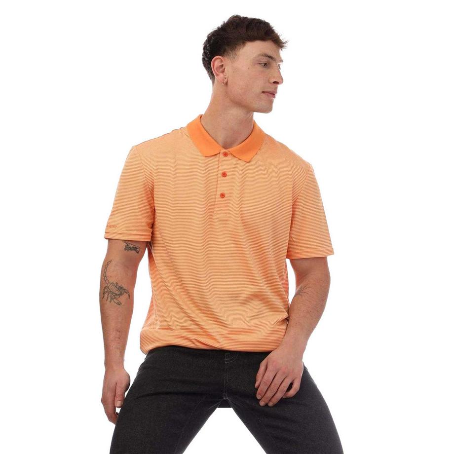 LYLE & SCOTT Maglietta Polo Micro Strisce  