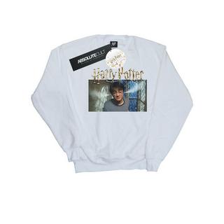Harry Potter  Sweatshirt 
