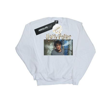Harry Potter  Sweatshirt 